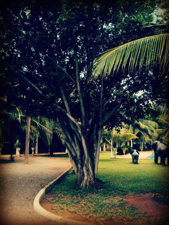 Hotel Lagoon Paradise Negombo Dış mekan fotoğraf