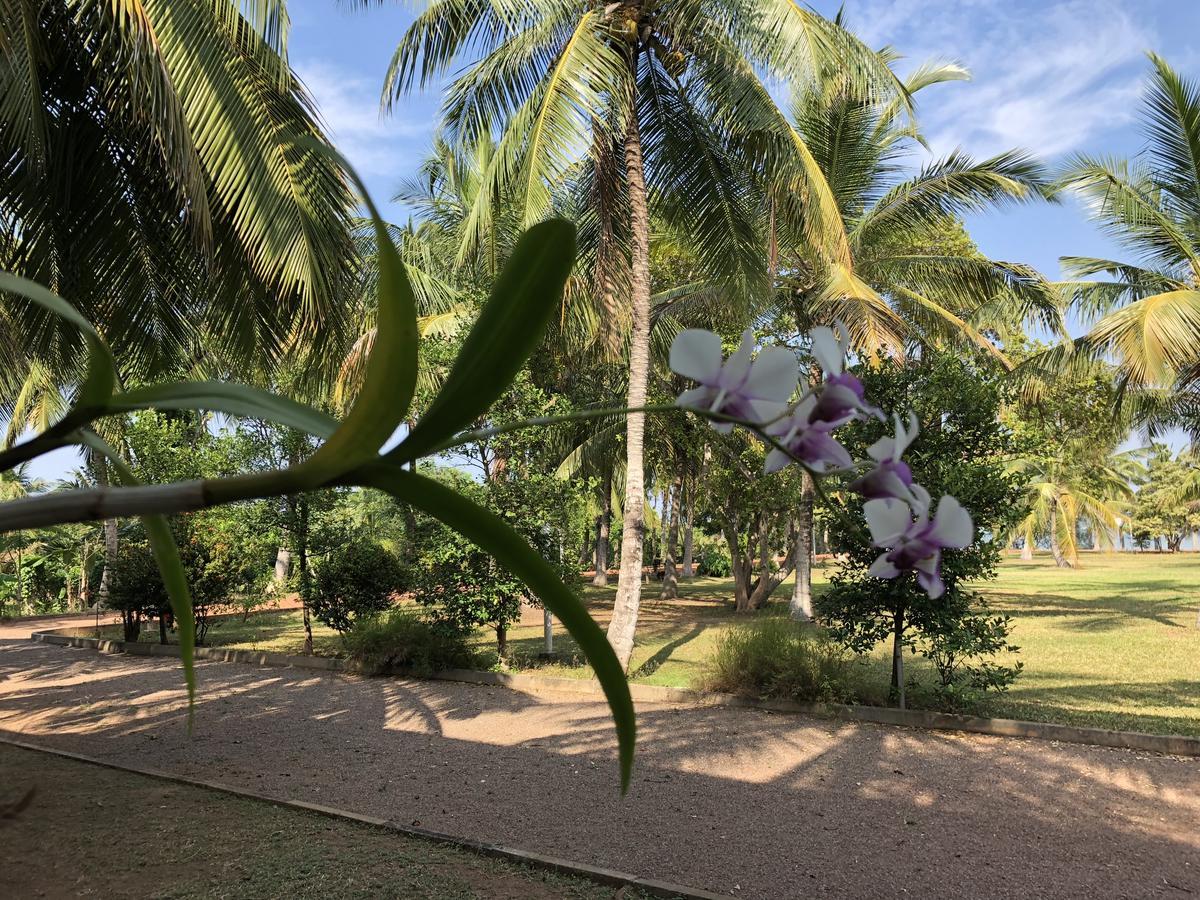 Hotel Lagoon Paradise Negombo Dış mekan fotoğraf