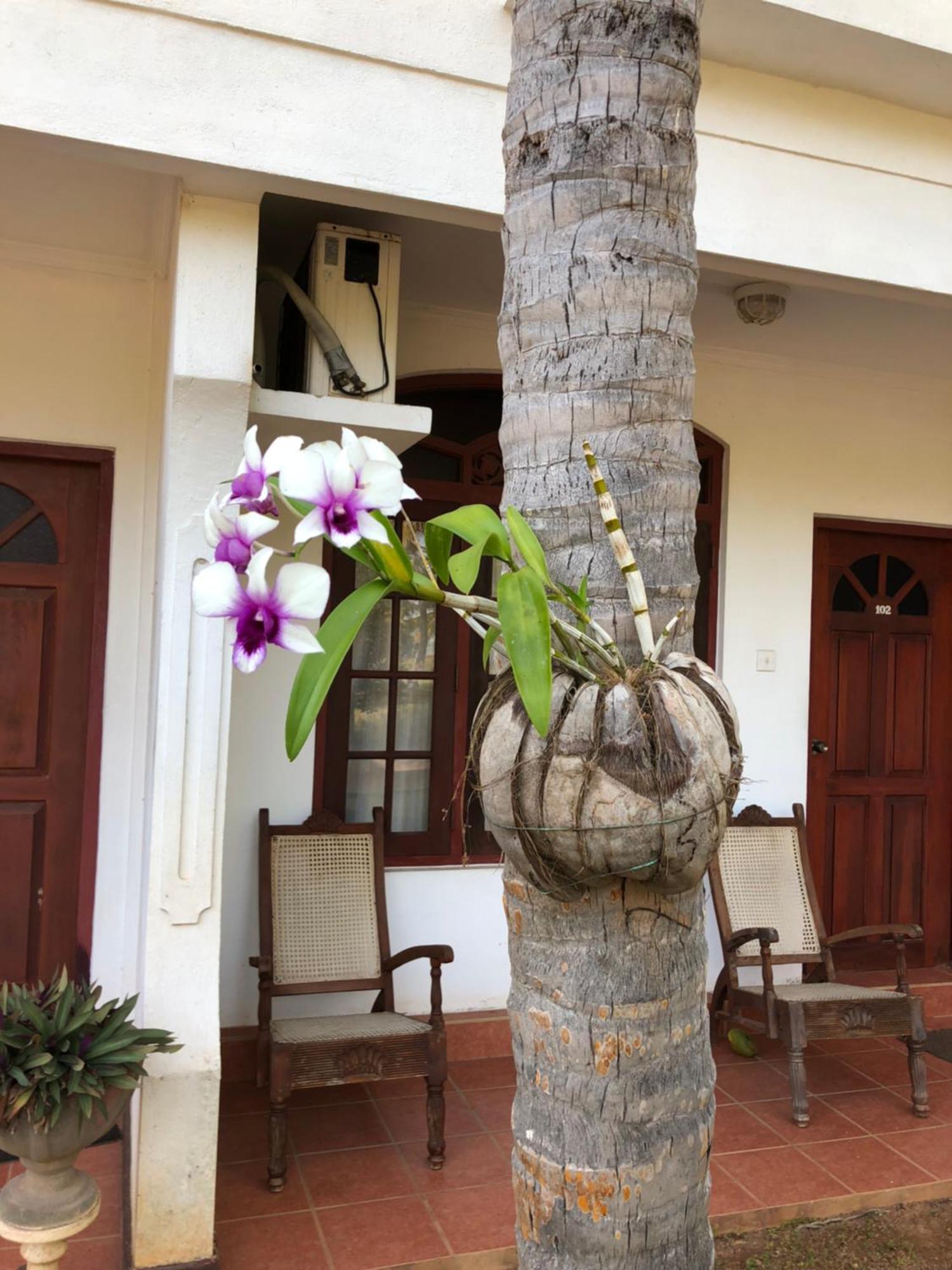 Hotel Lagoon Paradise Negombo Dış mekan fotoğraf