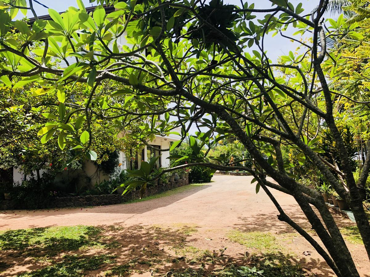 Hotel Lagoon Paradise Negombo Dış mekan fotoğraf