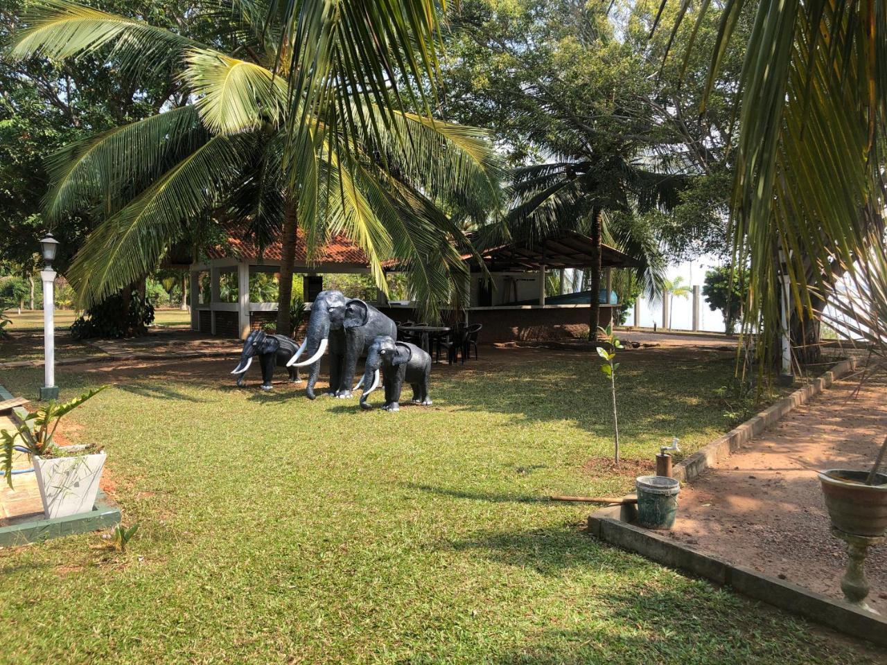 Hotel Lagoon Paradise Negombo Dış mekan fotoğraf